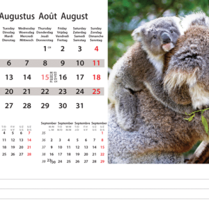 Desk calendar Wildlife 2024 - August