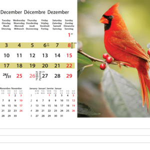 Desk calendar Wildlife 2024 - December