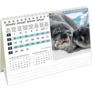 Desk calendar Wildlife 2024 - January