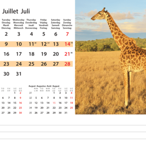 Desk calendar Wildlife 2024 - July