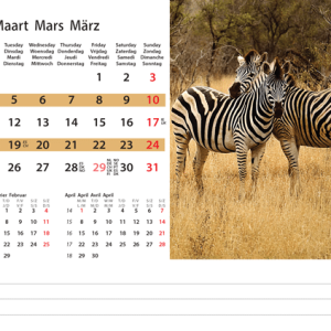 Desk calendar Wildlife 2024 - March