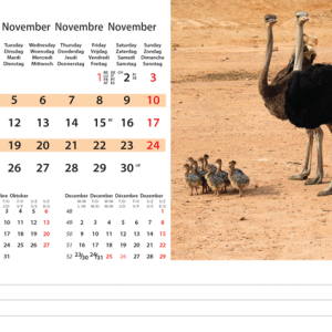 Desk calendar Wildlife 2024 - November