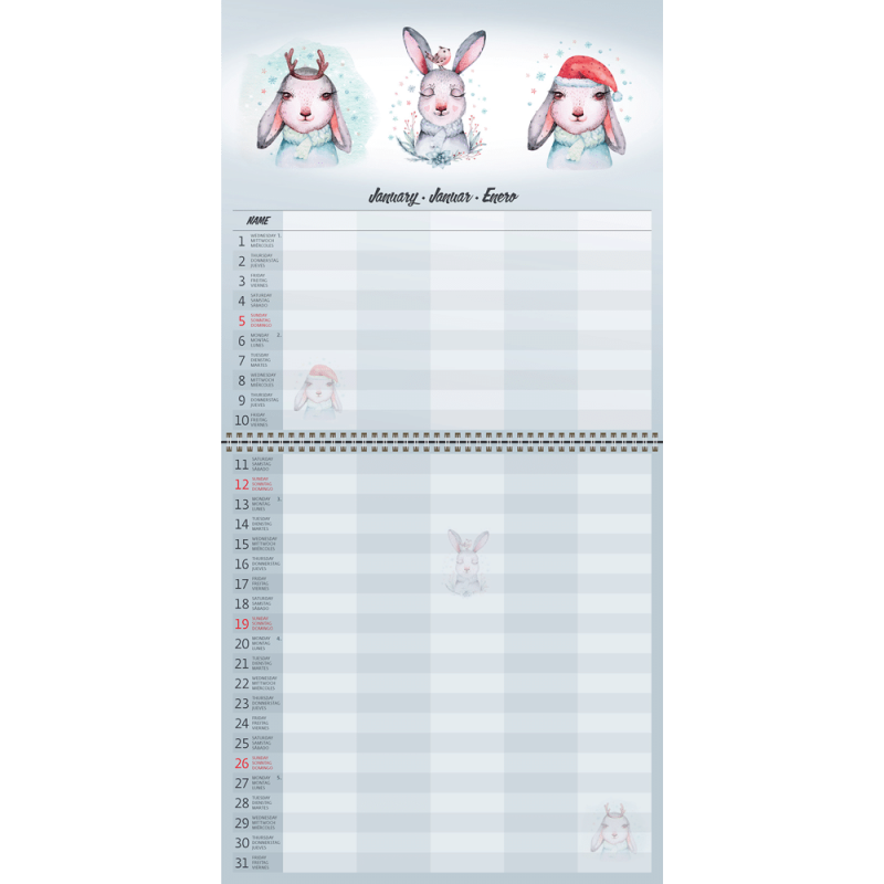 Family Planner 2025