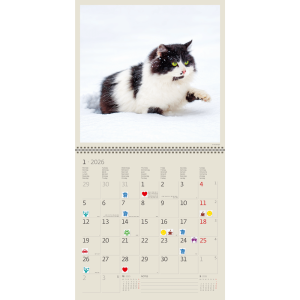 Wall calendar Cats 2026 - January
