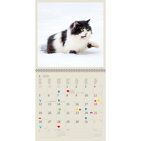 Wall calendar Cats 2026 - January