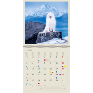 Wall calendar Dogs 2026 - January
