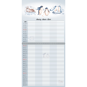 Wall calendar Family Planner 2026 - January