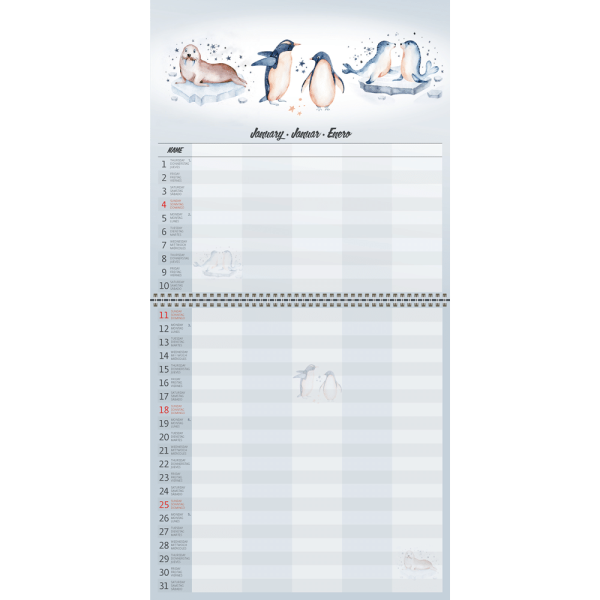 Wall calendar Family Planner 2026 - January