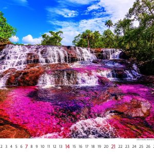 Wall calendar National Parks 2026 - June