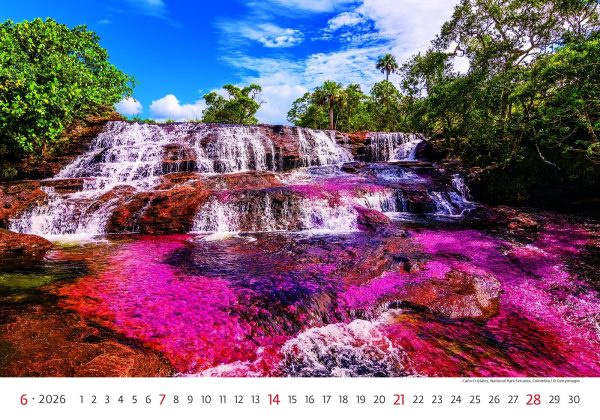 Wall calendar National Parks 2026 - June