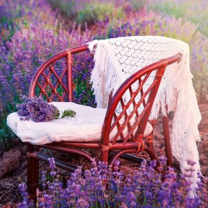Wall calendar Provence 2026 - March