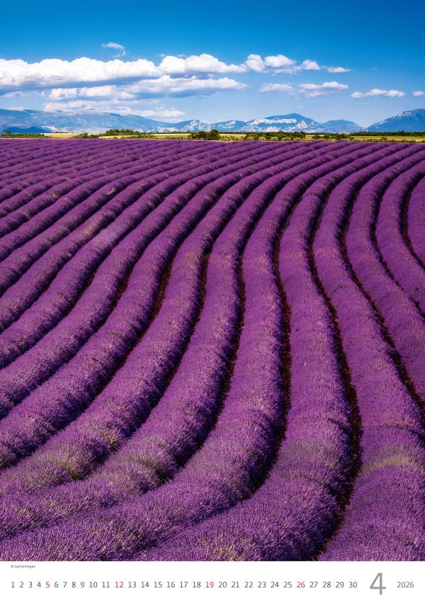 Wall calendar Provence 2026 - April