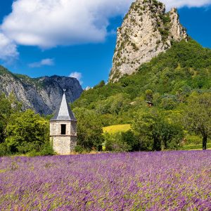 Wall calendar Provence 2026 - May