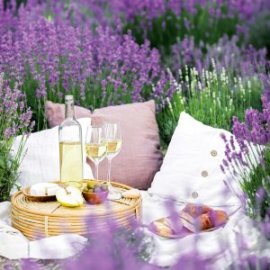 Wall calendar Provence 2026 - June