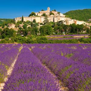 Wall calendar Provence 2026 - August