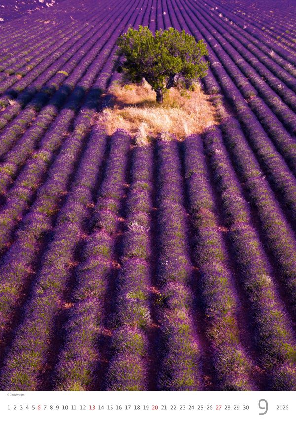 Wall calendar Provence 2026 - September