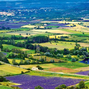 Wall calendar Provence 2026 - October