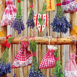 Wall calendar Provence 2026 - December