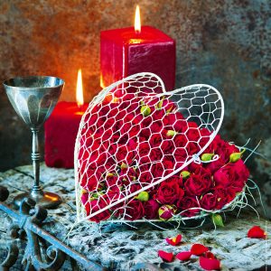 Wall calendar Live Design 2026 - February