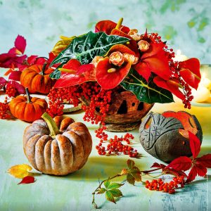 Wall calendar Live Design 2026 - October