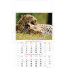 Wall calendar Wildlife 2026