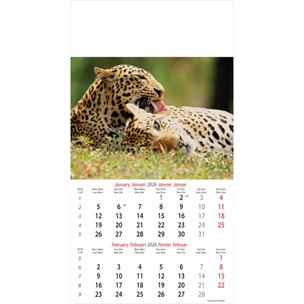 Wall calendar Wildlife 2026