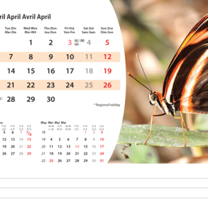 Desk calendar Animals 2026 - April