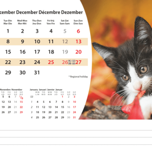 Desk calendar Animals 2026 - December
