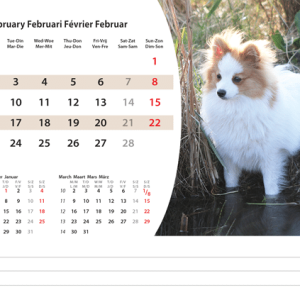 Desk calendar Animals 2026 - February