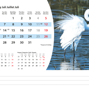 Desk calendar Animals 2026 - July