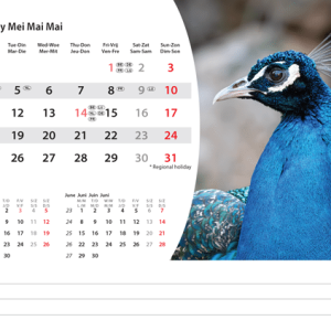 Desk calendar Animals 2026 - May