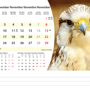 Desk calendar Animals 2026 - November
