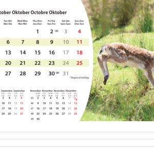 Desk calendar Animals 2026 - October