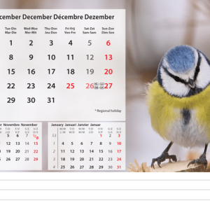 Desk calendar Beautiful Nature 2026 - December