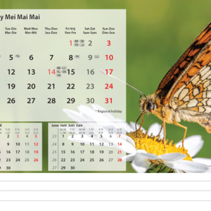Desk calendar Beautiful Nature 2026 - May