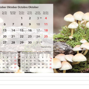 Desk calendar Beautiful Nature 2026 - October