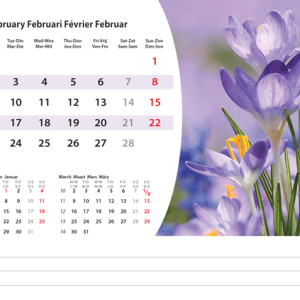 Desk calendar Flowers 2026 - February