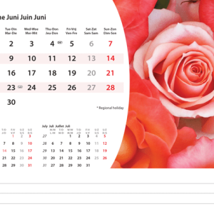 Desk calendar Flowers 2026 - June