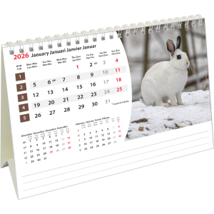 Desk calendar Animals 2026 - January