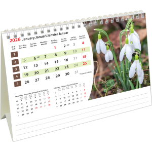 Desk calendar Flowers 2026 - January