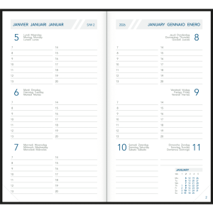 Pocket diary Visuplan 2026