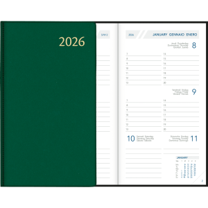 Pocket diary Visuplan 2026 green