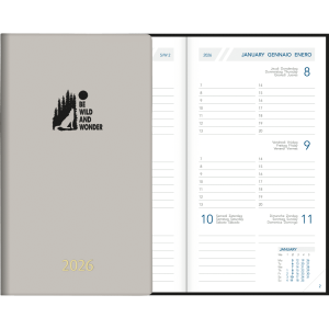 Pocket diary Visuplan 2026 mist grey