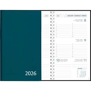 Pocket diary Visuplan 2026 perl blue green