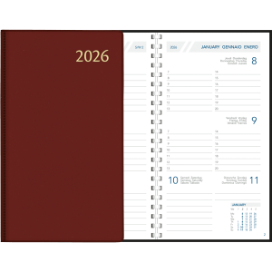 Pocket diary Visuplan 2026 perl burgundy