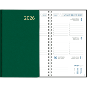 Pocket diary Visuplan 2026 perl green
