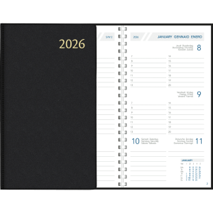 Pocket diary Visuplan 2026 perl black